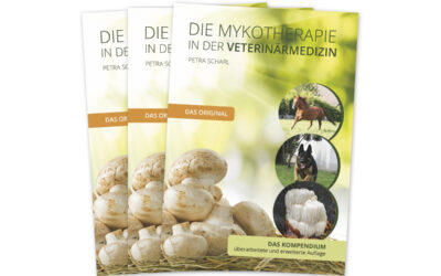 Mein neues Buch